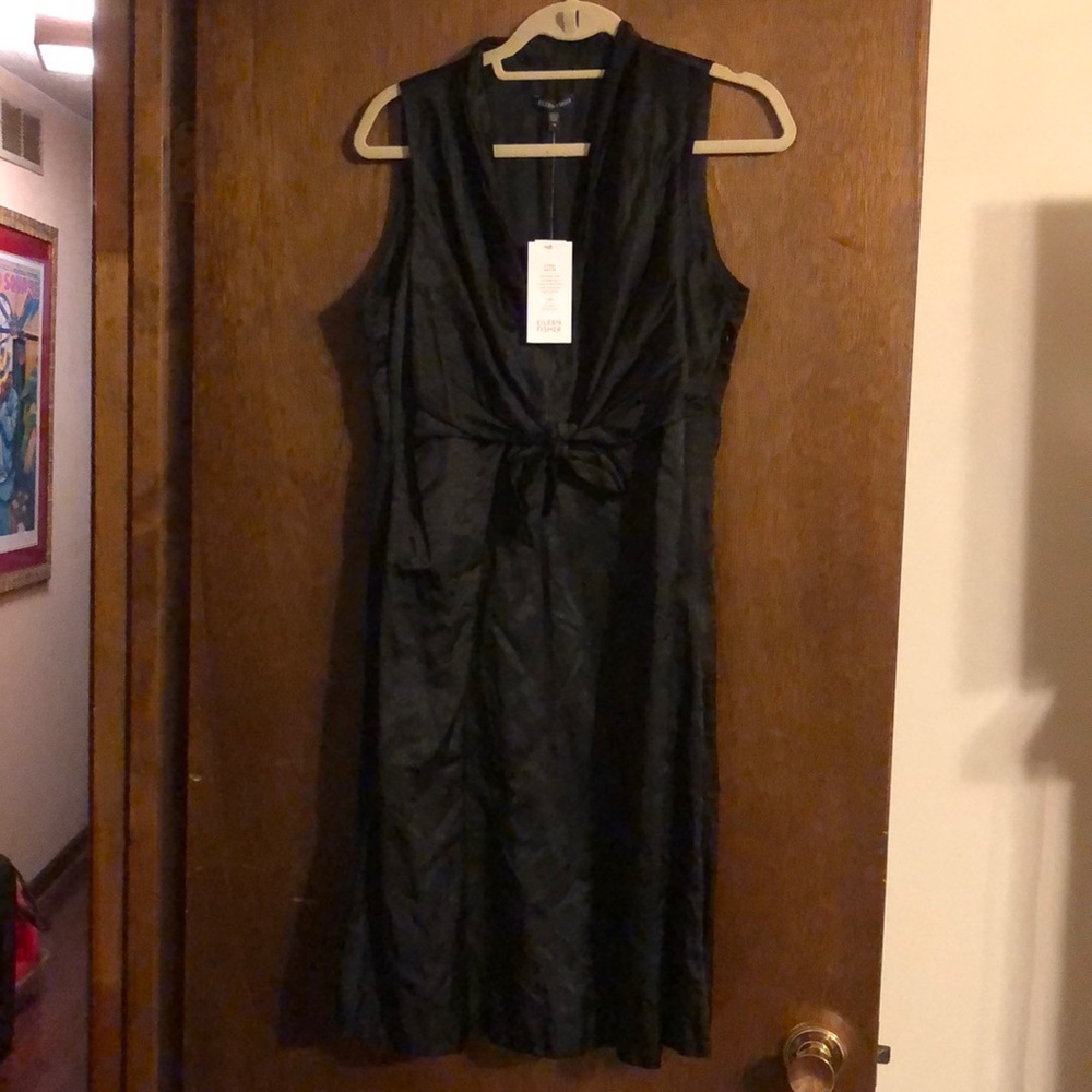 Eileen Fisher dress size 10 NWT